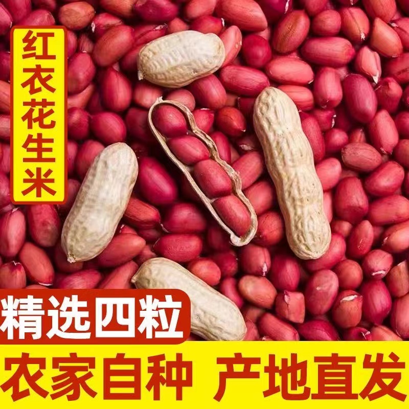 东北红皮花生米25年农家新货不带壳四粒红新鲜小粒红衣花生仁500g