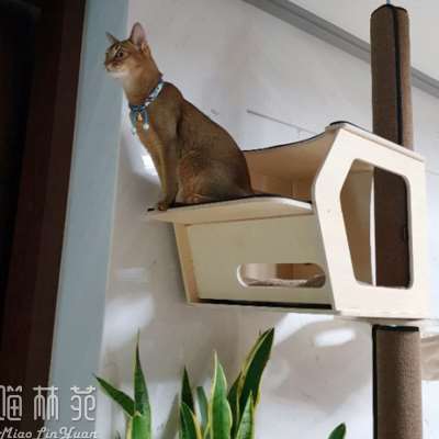 喵林苑猫塔通天柱猫爬架猫树太空舱吊床爬梯猫窝跳板配件