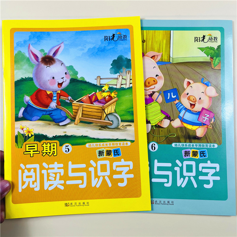 学前阅读与识字书幼小衔接教材用书看图识字学儿歌幼儿园中班认字学前班儿童早期认字 幼小衔接大班上下幼升小3-5-6岁宝宝快乐识字