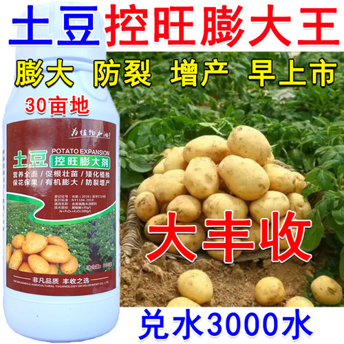 土豆控旺膨大素膨大剂土豆地下猛长土豆专用叶面肥急速膨大抗病逆