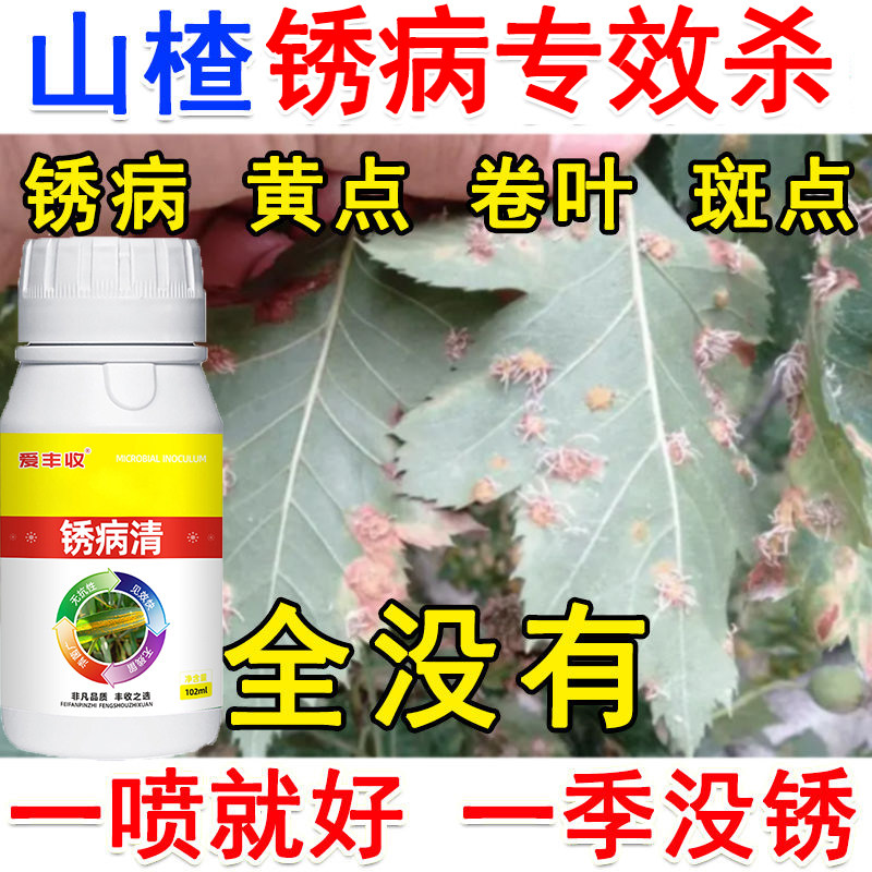 山楂锈病专用药山楂锈病杀菌剂微生物肥料蔬菜果树锈病杀菌剂正品