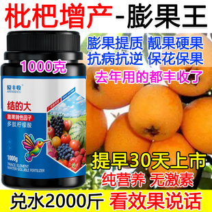 枇杷膨大素叶面肥枇杷膨大剂增产肥料保花保果抗病逆正品防落果
