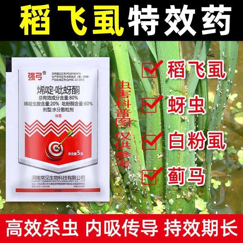 烯啶吡蚜酮水稻稻飞虱专用强效药蓟马蚜虫白粉虱老牌子杀虫剂农药