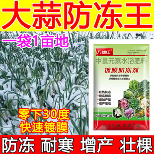 大蒜防冻液大蒜防冻剂增产防冻植物防冻剂耐寒安全过冬肥料正品