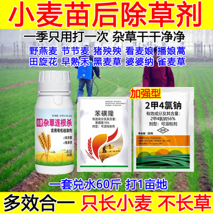 小麦田除草剂小麦苗后除草剂节节麦野燕麦苯磺隆禾阔双除杂草克星