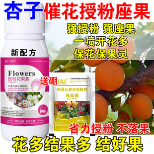 进口杏子授粉座果精杏树授粉药叶面肥沾花素防落素保花保果防落药