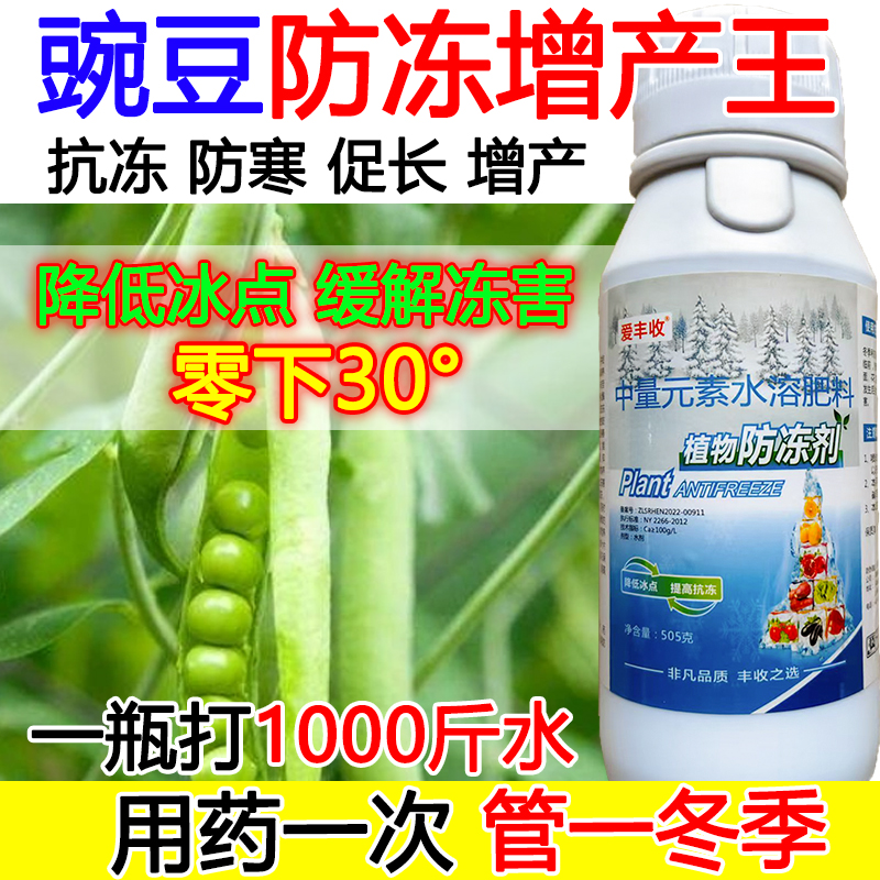 豌豆防冻液豌豆防冻抗寒叶面肥抗寒流增产肥料蔬菜果树防冻液正品