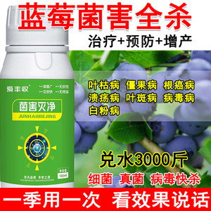 蓝莓专用杀菌剂蓝莓病全治杀菌药生物肥料全杀炭疽病霜霉病白粉病