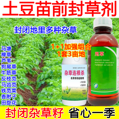 土豆苗前除草剂土豆玉米苗前封闭药乙草胺除草剂封多种杂草香附子