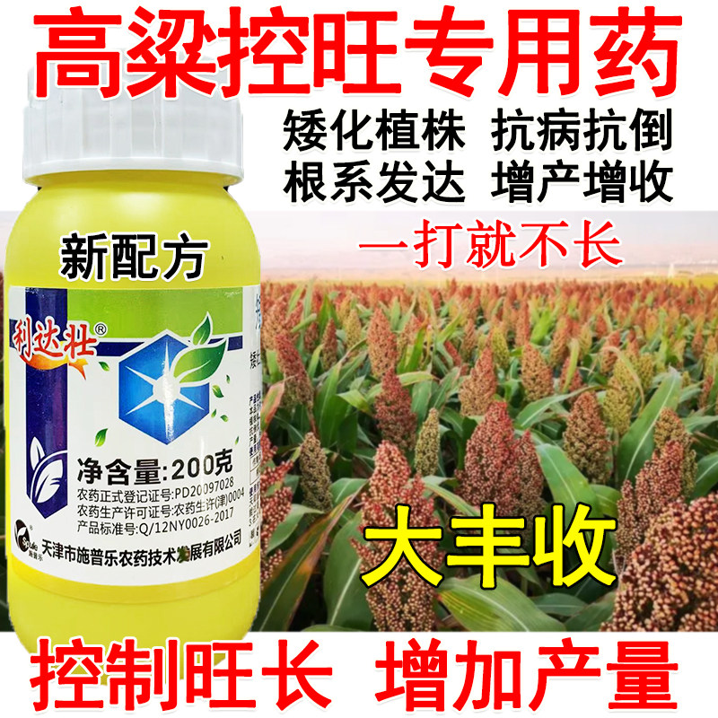 高粱控旺专用药高粱矮壮素控旺用高粱作物控长矮化调节生长剂专用