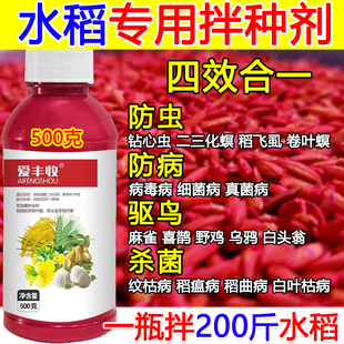 水稻拌种剂包衣剂水稻专用拌种药微生物菌剂抗病菌水稻悬浮种衣剂