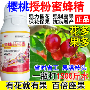 樱桃授粉座果精樱桃授粉药沾花素保花保果多花多果花粉素抗病防落