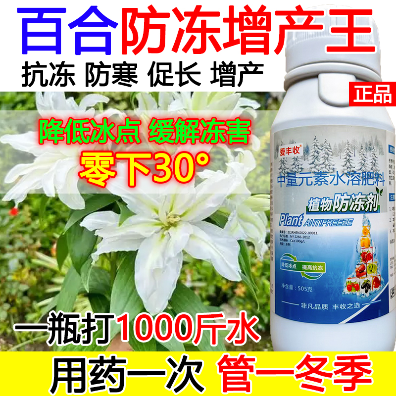 百合防冻增产液百合防冻耐寒叶面肥抗寒流增产肥料蔬菜果树防冻液
