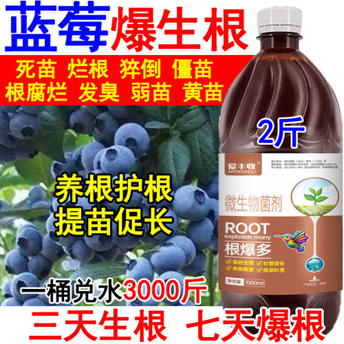 蓝莓生根剂生根液蓝莓生根肥料微生物菌剂死苗烂根根腐弱苗专用肥