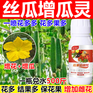 丝瓜增瓜灵增瓜剂丝瓜授粉保果药叶面肥保花保果开花多花多果多