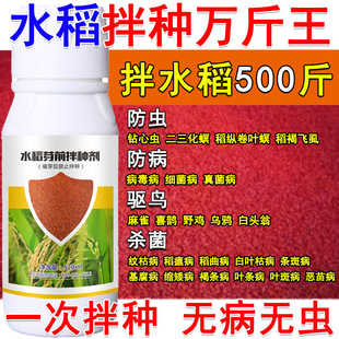 水稻拌种剂水稻专用拌种剂悬浮种衣剂抗病抗虫水稻悬浮种衣剂正品