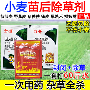 小麦田除草剂小麦苗后除草剂禾阔双除不伤小麦节节麦野燕麦早熟禾