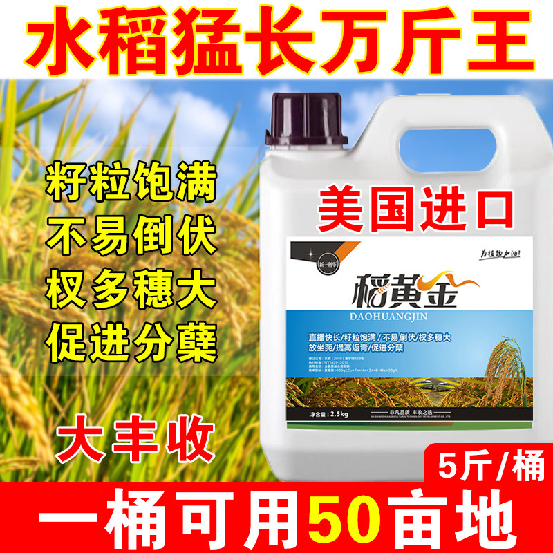 进口水稻专用叶面肥水稻高产粒粒饱水稻增产剂促进分蘖生根壮苗,农用物资,叶面肥,淘宝优惠券,粉丝福利购,淘宝优惠卷