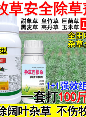 皇竹草甜象草黑麦草高丹草巨菌草墨西哥玉米草牧草田地专用除草剂