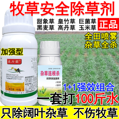 皇竹草甜象草黑麦草高丹草巨菌草墨西哥玉米草牧草田地专用除草剂