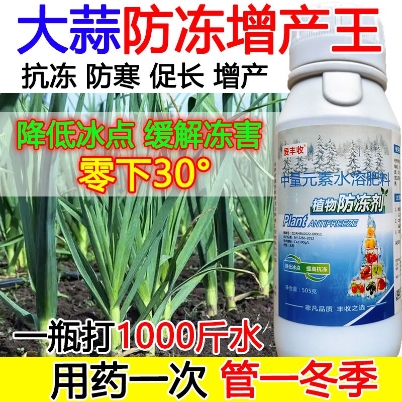 大蒜防冻液大蒜防冻抗寒叶面肥抗寒流增产肥料蔬菜果树防冻液正品