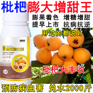 枇杷叶面肥枇杷膨大剂膨大素增甜剂枇杷专用叶面肥保花保果防裂肥