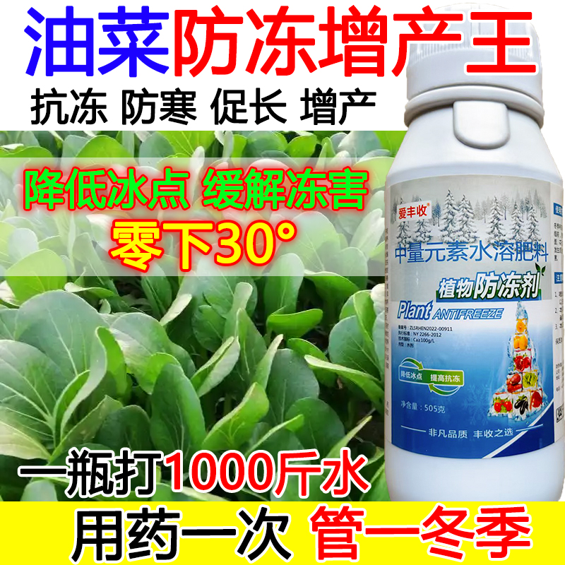 油菜防冻液油菜防冻抗寒叶面肥抗寒流增产肥料蔬菜果树防冻液正品