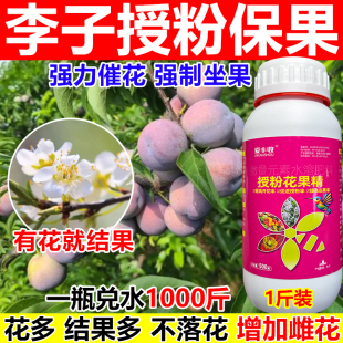 李子授粉药李子授粉坐果精座果灵保花保果沾花素果树樱桃柑橘授粉