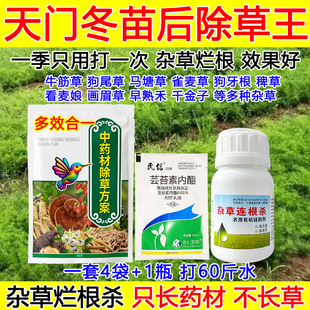 天门冬除草剂中药材天门冬苗后除草剂杂草烂根尖叶草狗尾草牛筋草