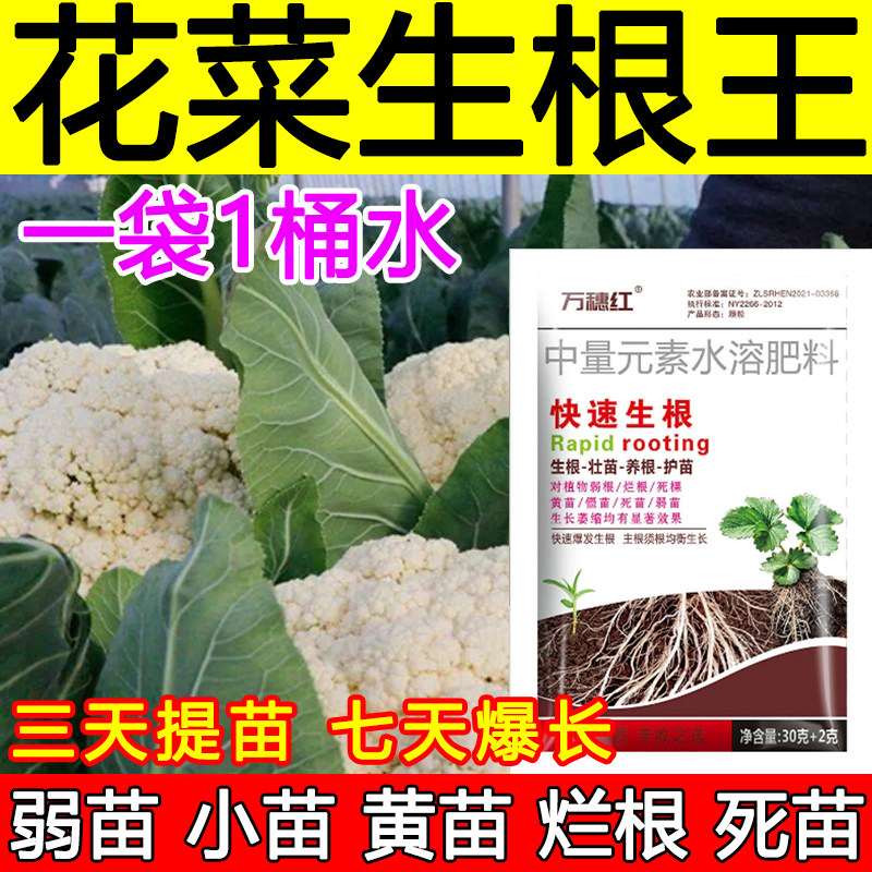 花菜生根剂生根液花菜生根壮苗肥料微生物生根肥料弱苗小苗,农用物资,叶面肥,淘宝优惠券,粉丝福利购,淘宝优惠卷