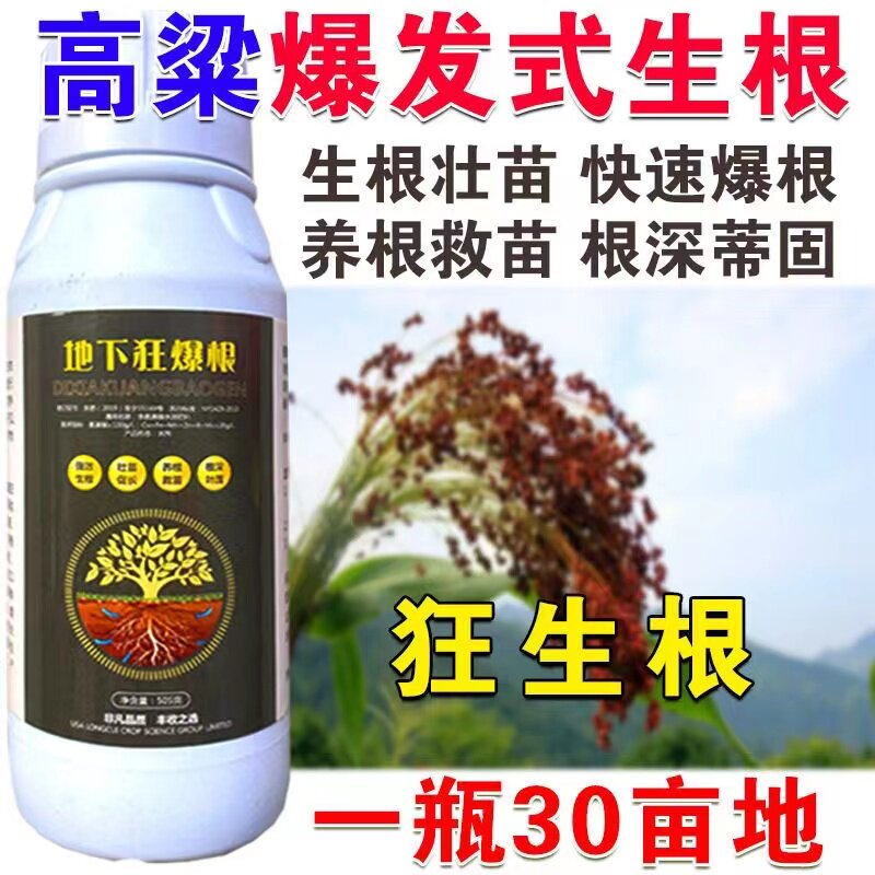 高粱专用生根粉高粱生根剂叶面肥生根菌肥快速生根正品生根肥料