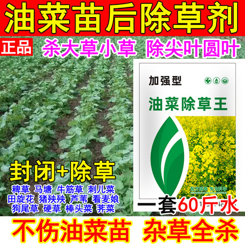 油菜苗后除草剂油菜除草剂通用型不伤油菜禾阔双除稗草牛筋草正品