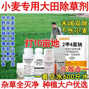 小麦专用除草剂小麦除草药禾阔双除麦田除草剂雀麦野燕麦节节麦