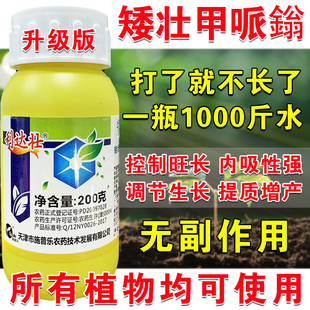 矮壮素控旺用大田作物控长矮化地下植物压头药压苗药调节生长专用