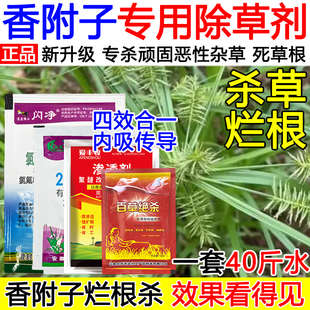 香附子除草剂香附子专用药阔叶草杂草除草剂死根烂根死不伤土壤