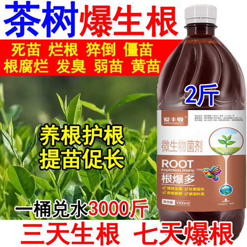 茶树生根剂生根液茶树生根肥料微生物菌剂死苗烂根根腐弱苗专用肥