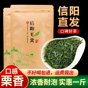茶叶自己喝信阳毛尖2026新茶毛尖浓香型春茶袋装高山绿茶散装500g