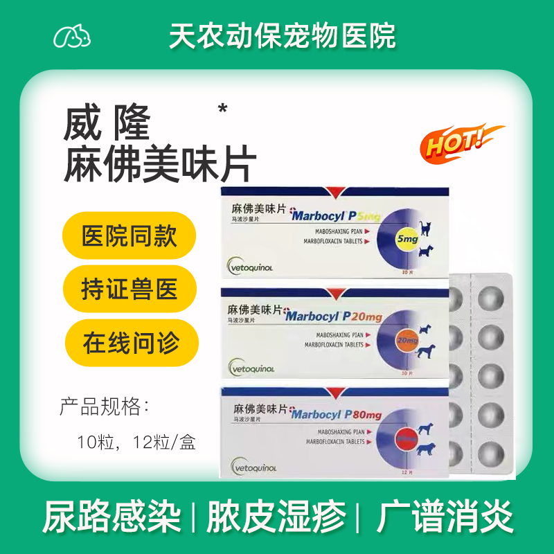 犬猫麻佛消炎药脓皮症尿路感染