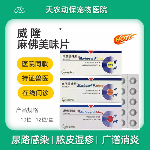 犬猫麻佛消炎药脓皮症尿路感染
