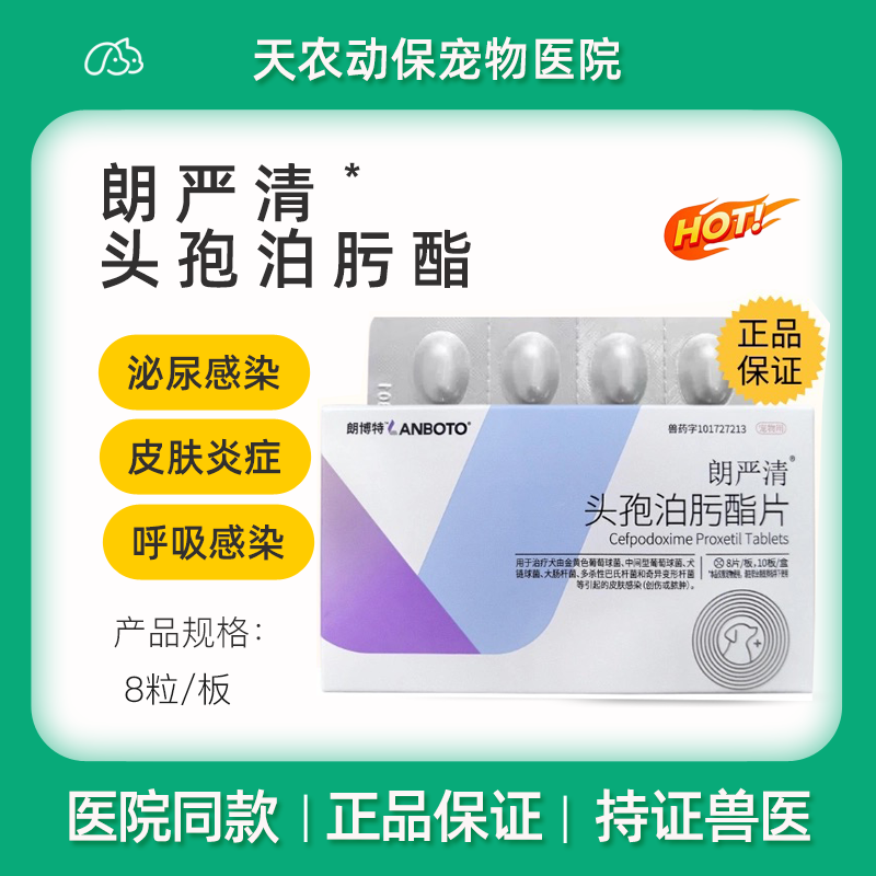 朗严清头孢泊肟酯片宠物狗狗猫咪感冒发炎泌尿系统感染消炎沃贝舒
