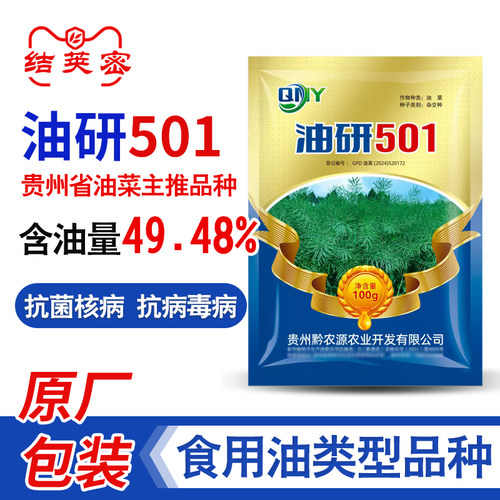杂交油菜种子油研501抗菌核病