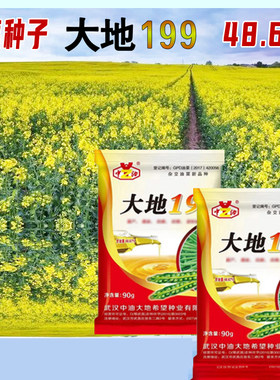 早熟油菜种大地199抗旱抗倒0芥酸双低油菜种子90克/袋