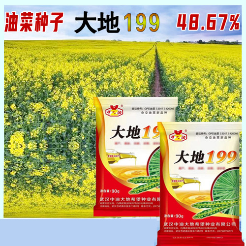 早熟油菜种大地199抗旱抗倒0芥酸双低油菜种子90克/袋