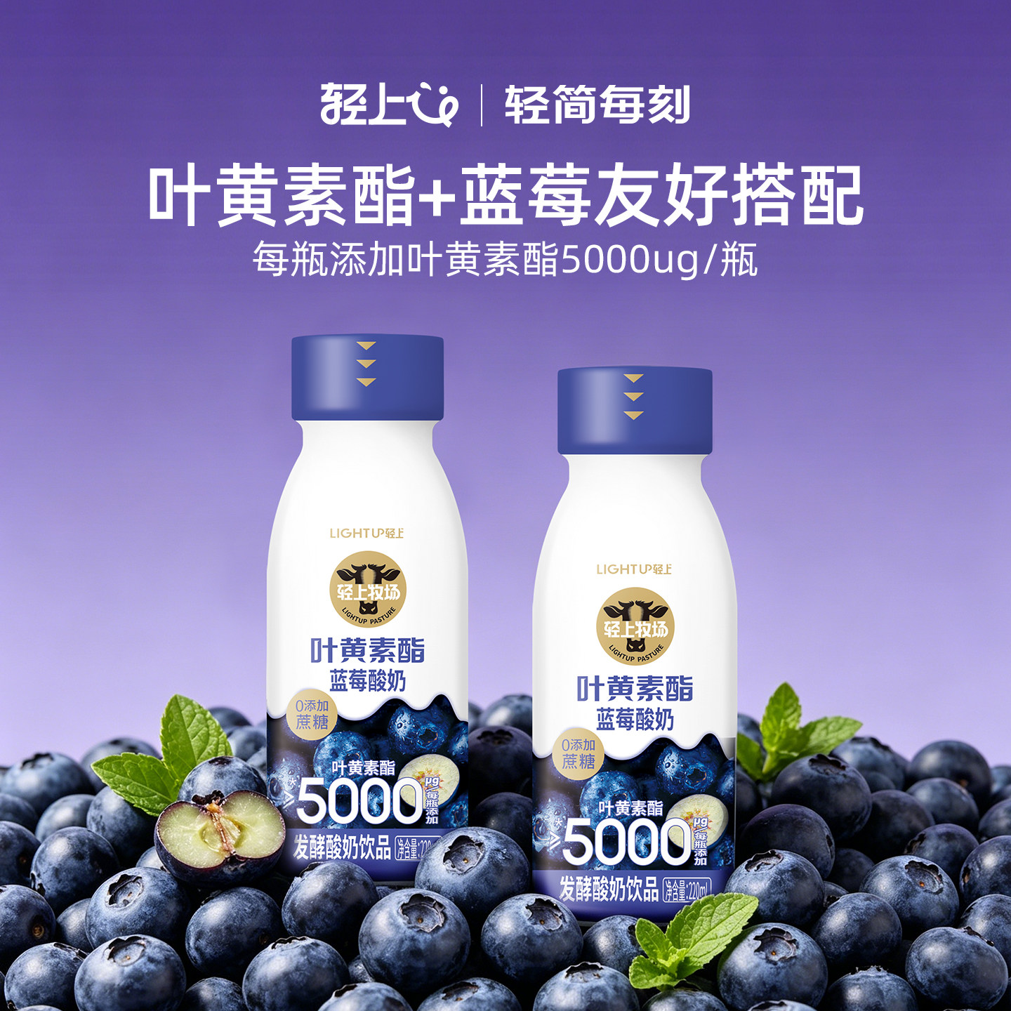 轻上叶黄素酯蓝莓酸奶饮品精选进口蓝莓0添加蔗糖饮料官方旗舰店