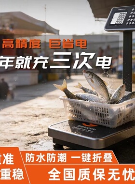 德国进口赛多利斯ROCHI电子秤商用精准台秤小型150公斤称重300公