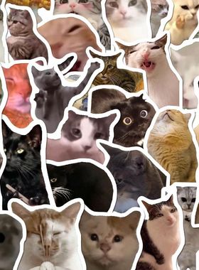 106张猫meme贴纸可爱搞笑鬼畜猫咪ins风表情包梗图素材手账本贴画