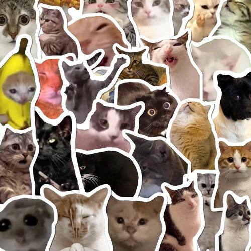 106张猫meme贴纸可爱搞笑鬼畜猫咪ins风表情包梗图素材手账本贴画