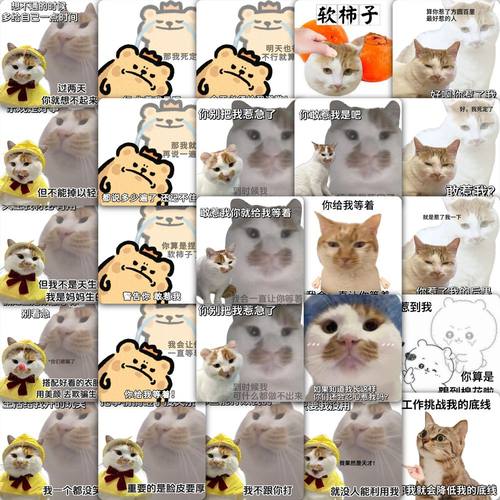 59张热梗表情包贴纸萌宠卡通可爱趣味沙雕装饰手机壳电脑防水贴画