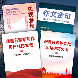 央金句视仿写每日狂练文笔写作文初中高中学生开头结尾素材课业本