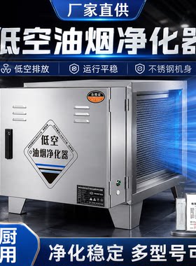 低空油烟净化器商用厨房餐饮烧烤小型静电式除味净化器无烟过环保